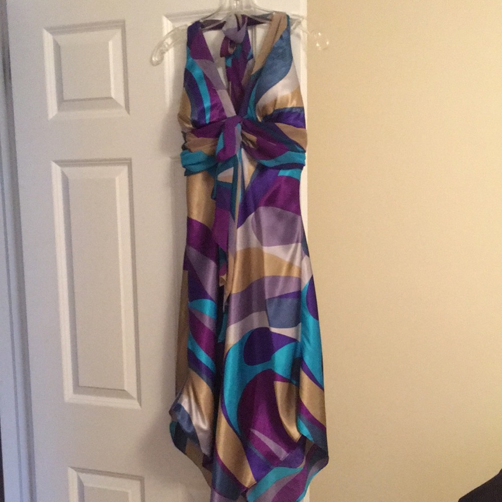 Alyn Paige Multicolor Backless Dress